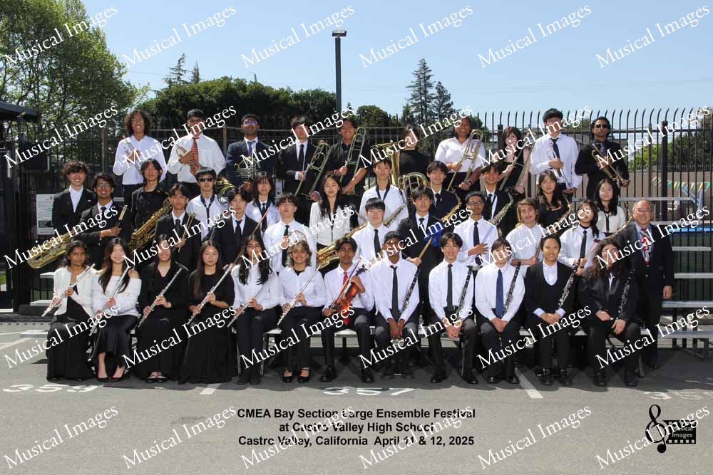 Musical Images